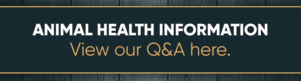 Animal Health Naile 1080x1080 1